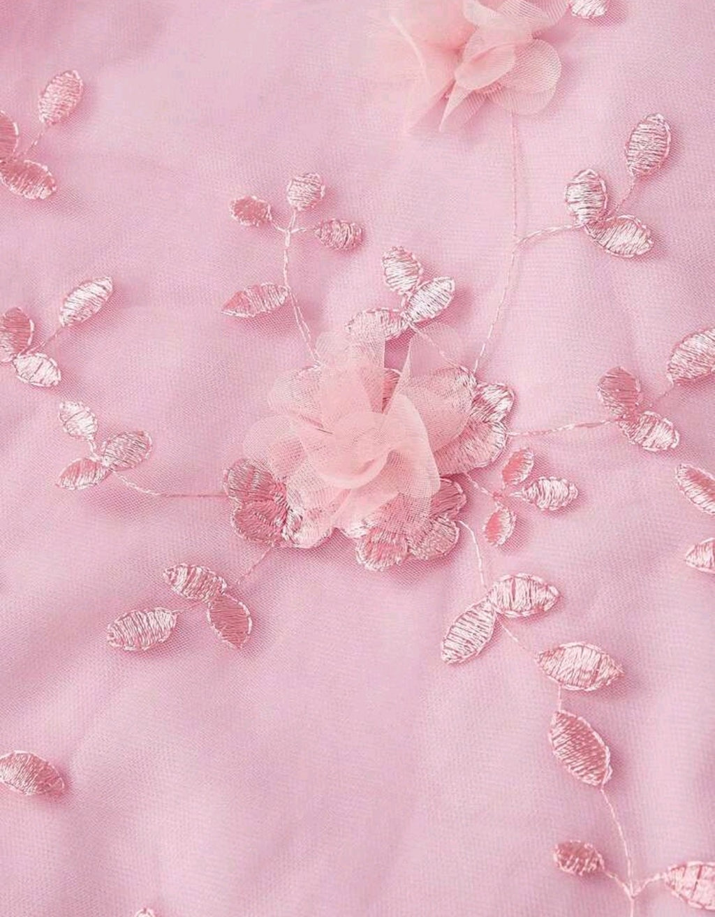 Plus Size Embroidery Dress